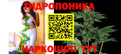 тгк Партизанск